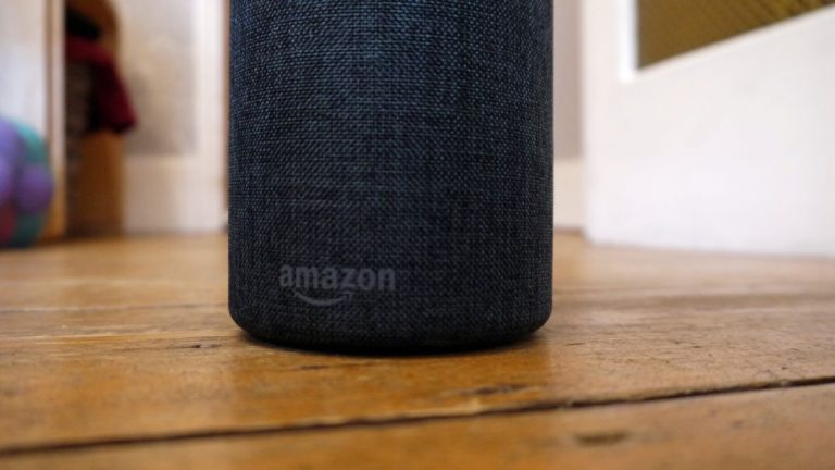 Amazon Echo assessment