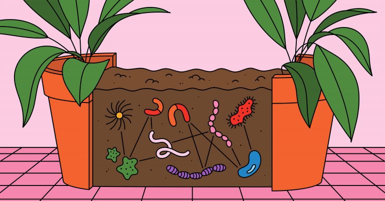 How Math Can Help Unravel the Weird Interactions of Microbes