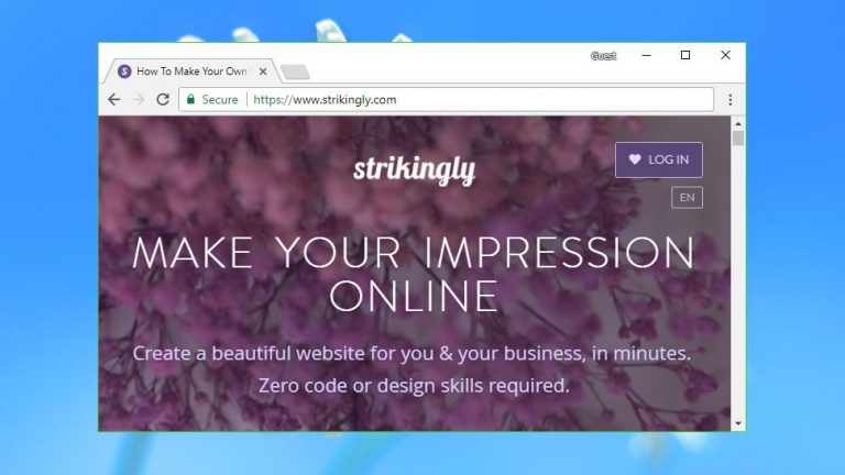 Strikingly review