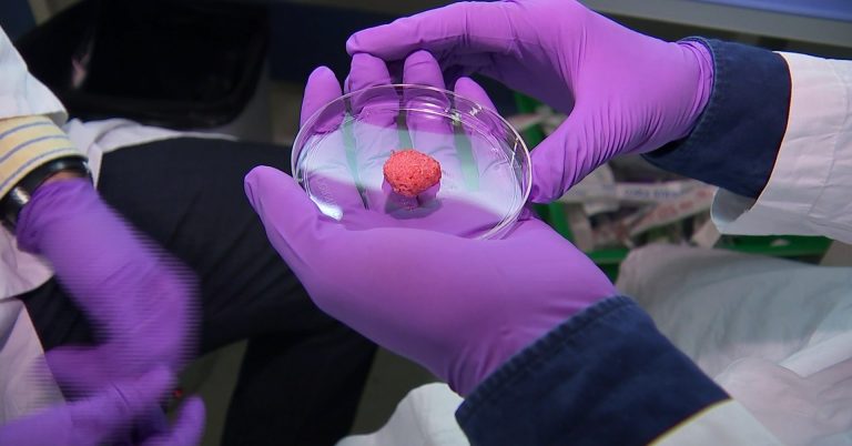 Lab-Grown Meat Is Coming, Whether You Like It or Not