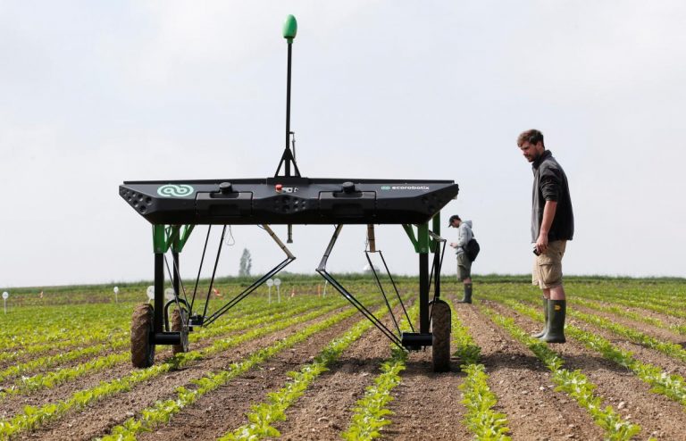 Robots fight weeds in challenge to agrochemical giants