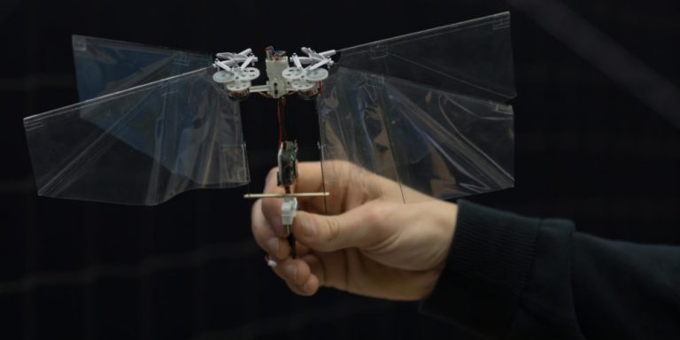 See The Drone That Flaps Its Wings Like An Insect