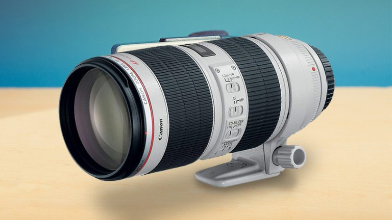 The Best Canon Lenses for 2019