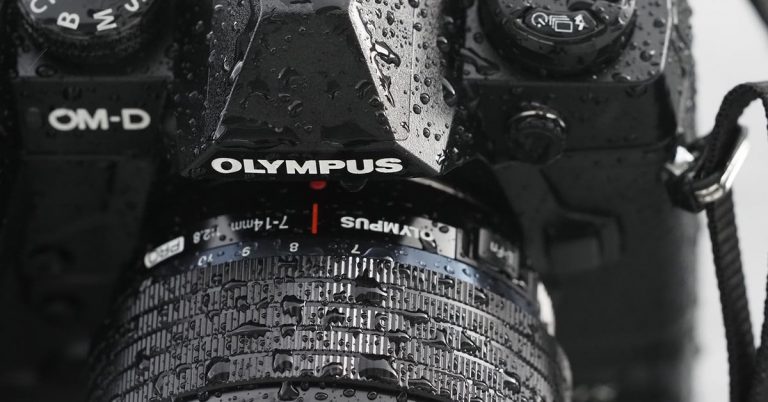 Micro Four Thirds and AI: Q&A With Olympus Developers