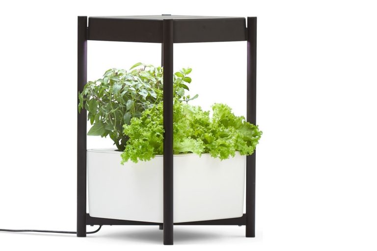 Miracle-Gro Twelve Indoor Growing System review: A nearly foolproof means to fresh herbs and lettuce year ’round