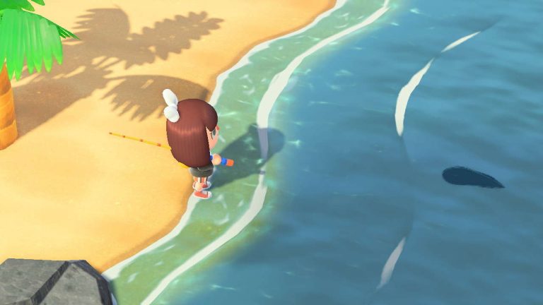 Animal Crossing: New Horizons Fish Guide – How To Catch, Prices, Shadow Sizes, And More