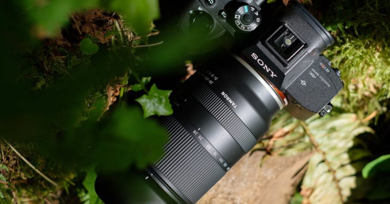 Tamron 28-200mm f/2.8-5.6 Review: A Surprising Superzoom | Digital Trends
