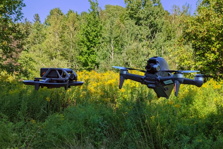 DJI Avata vs. DJI FPV: Which first-person drone is best? | Digital Trends