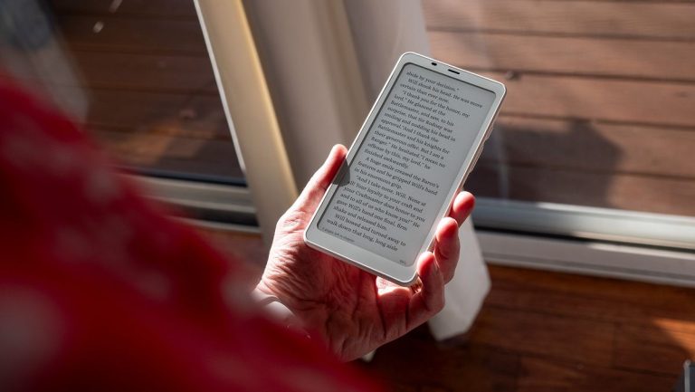 Onyx Boox Palma review: The bite-sized e-reader